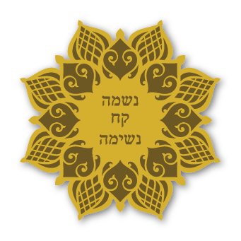 מגנטים - תזכורת מחזקות